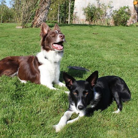 Les Goubelins Bed & Breakfast La Lande-d'Airou Bagian luar foto